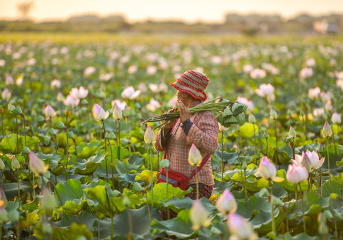 Secure Your Business with Farmers Insurance in San Antonio